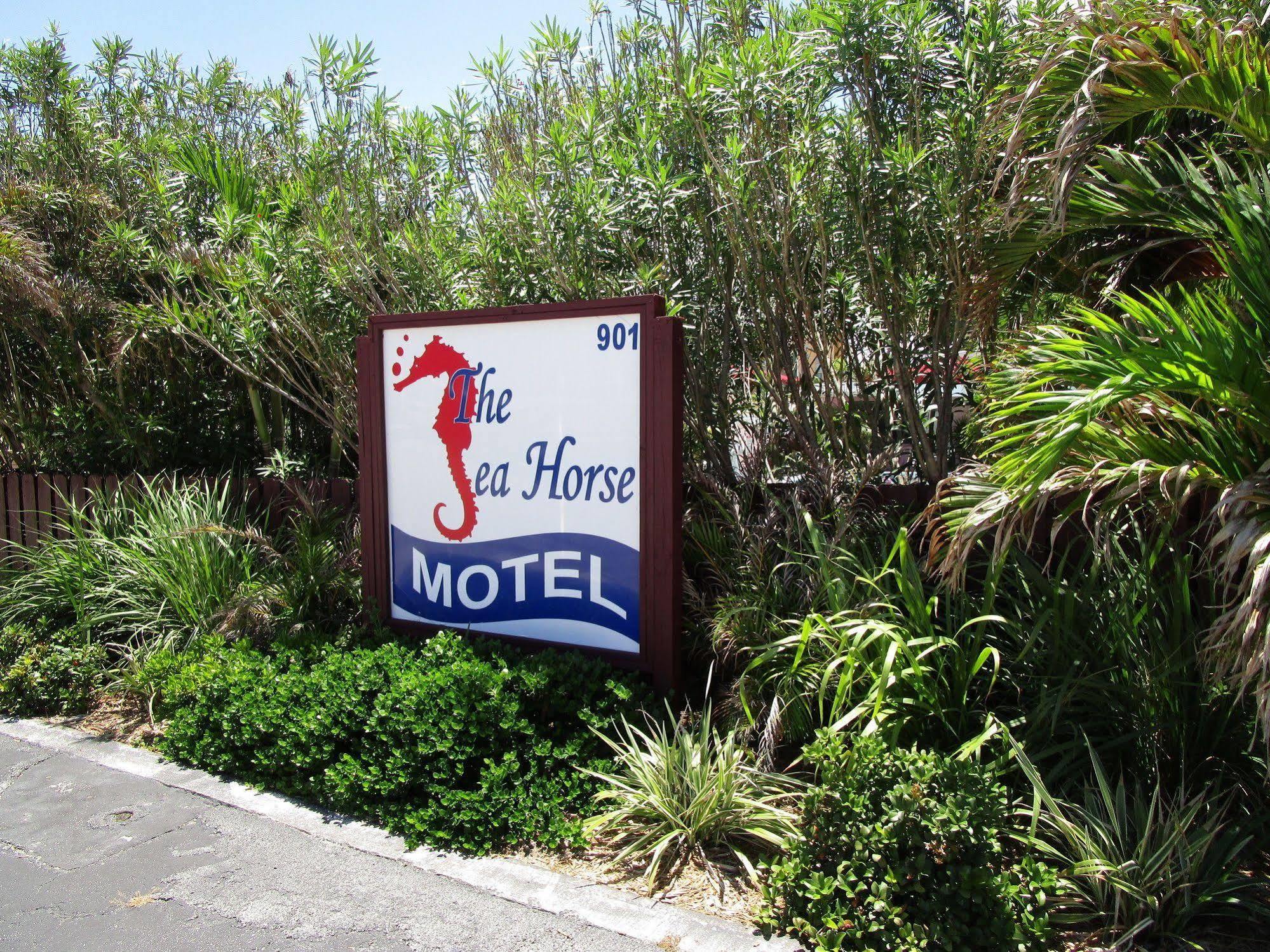 Seahorse Guesthouse ปอมปาโนบีช ภายนอก รูปภาพ